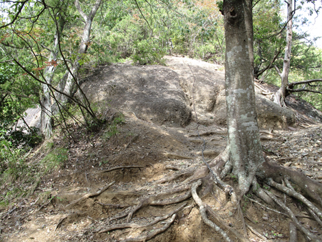20151006hike (284)